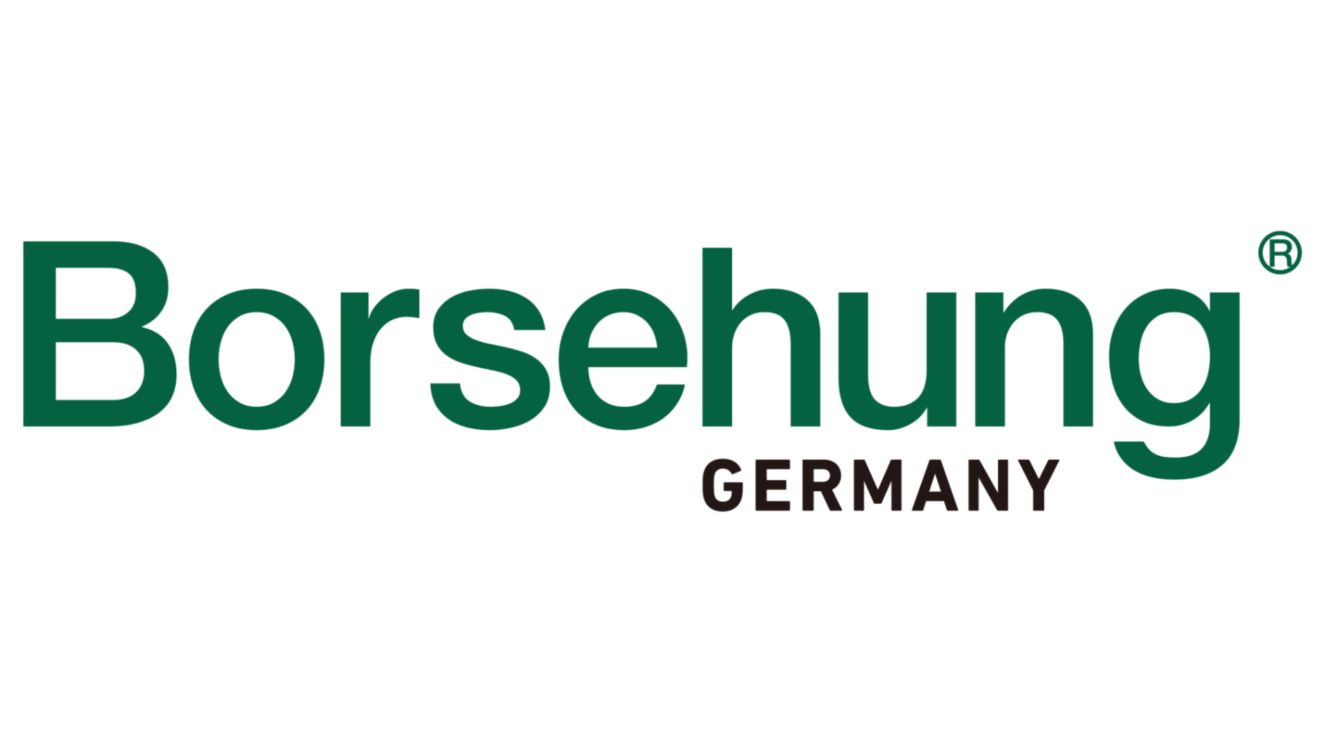 Logo Borsehung