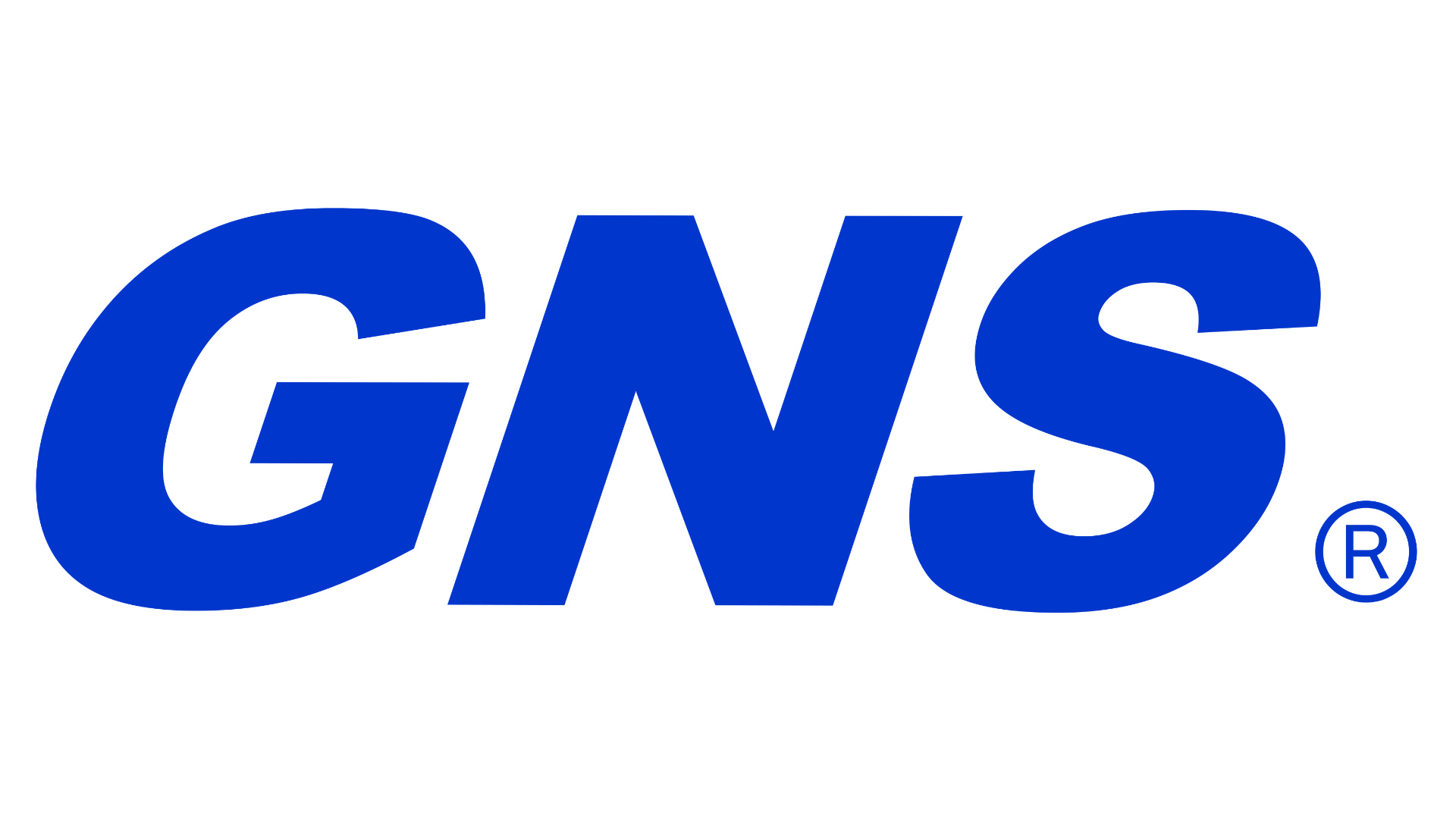 Logo GNS