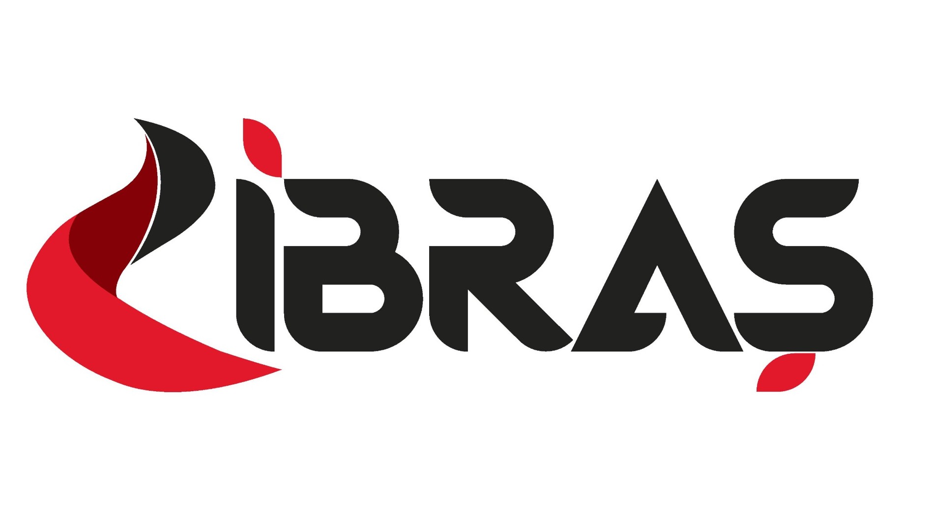 Ibras Logo